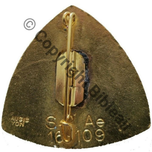 SECTION PHOTO AERIENNE 16.109  A.AUGIS LYON 2Lign Bol fenetre allonge Dos lisse irreg cuivre grave SP Ae 16.109 Src.Y.GENTY Collect JM 